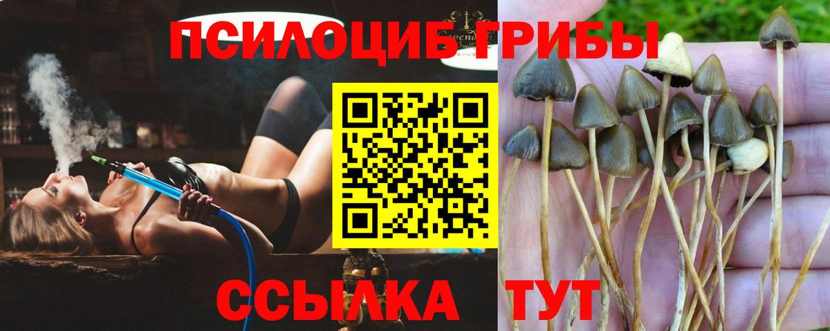 Галлюциногенные грибы ЛСД Качканар